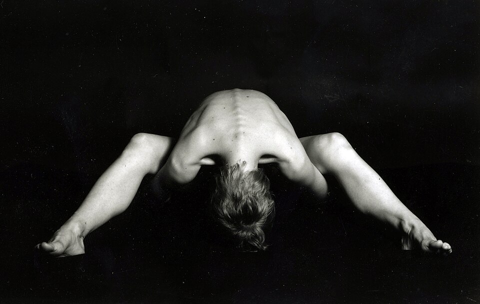 Tortoise Pose (Kurmasana)