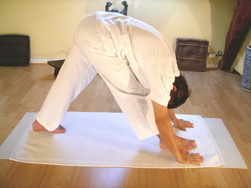 Intense Side Stretch (Pyramid) (Parsvottanasana)