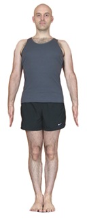 Mountain Pose (Tadasana)