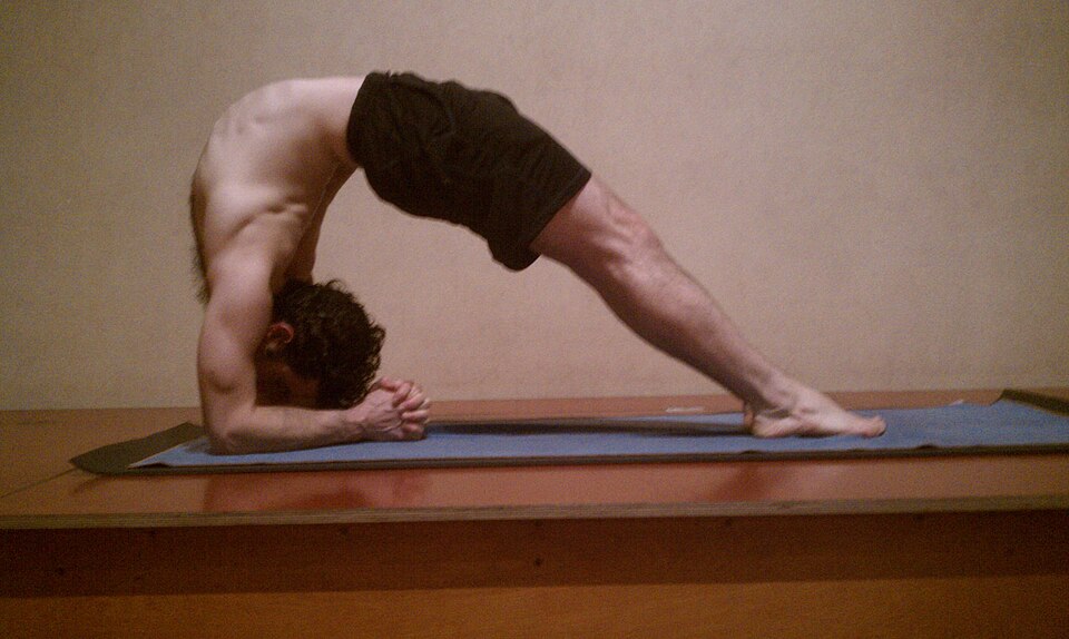 Inverted Staff Pose (Viparita Dandasana)